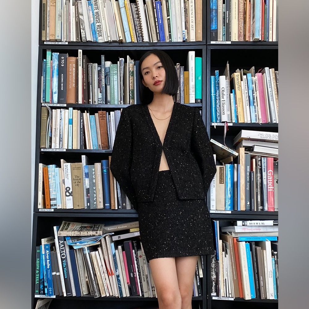 Aritzia Babaton Tretter Blazer